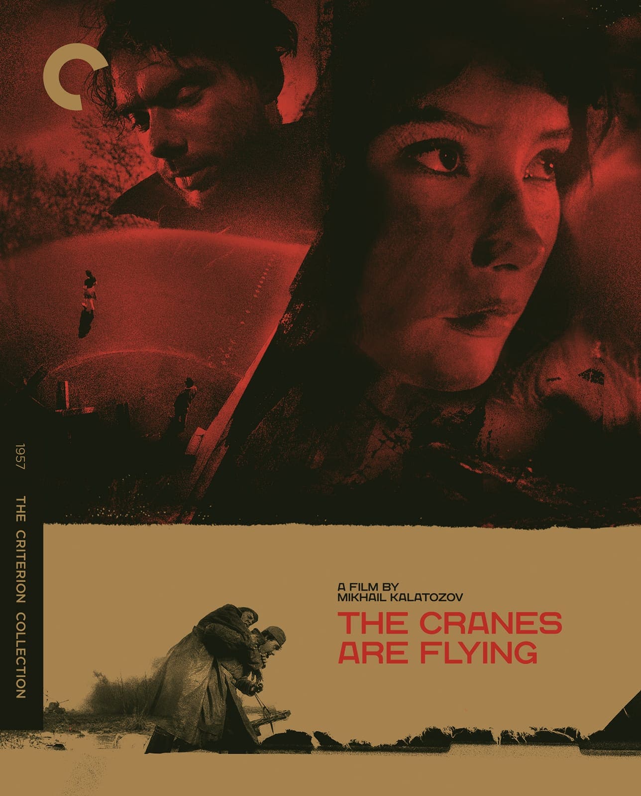 The Cranes Are Flying DVD Cover